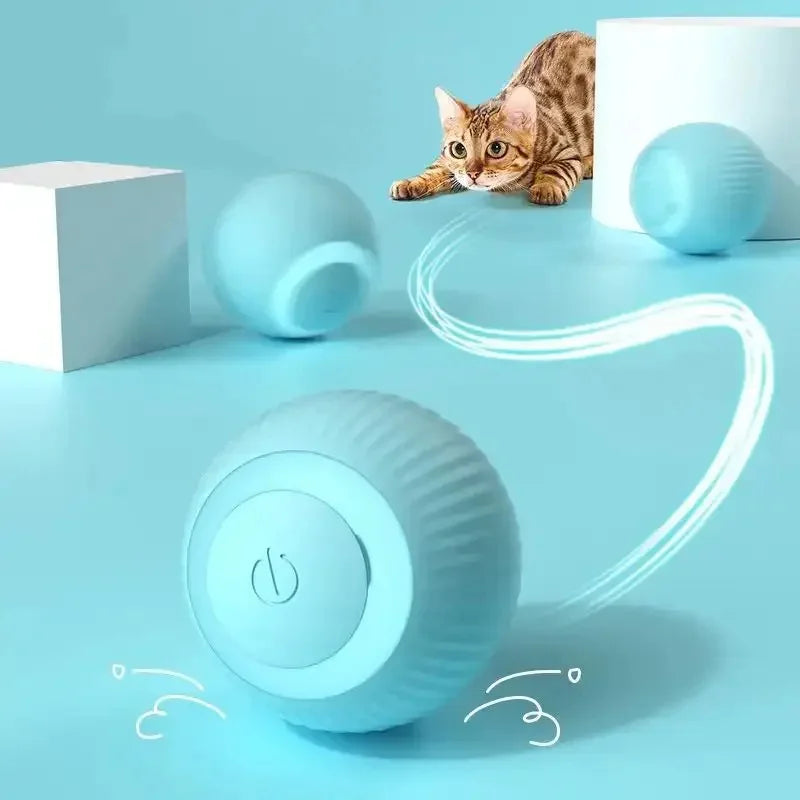 USB Rechargeable Cat Ball Toy - Blue & Pink