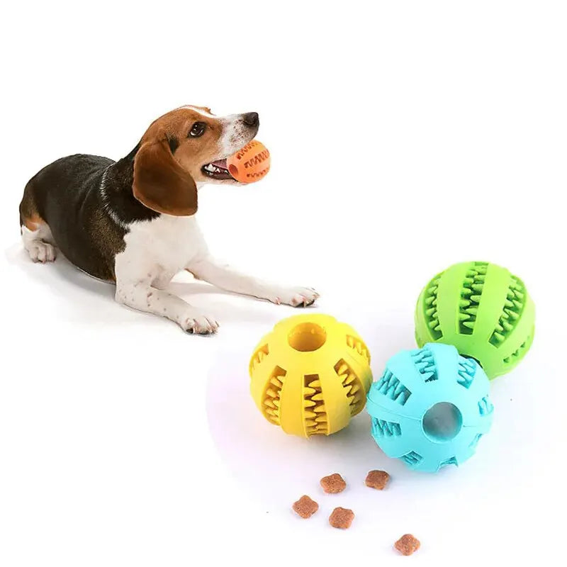 Non-Toxic Chew Ball for Dogs & Cats