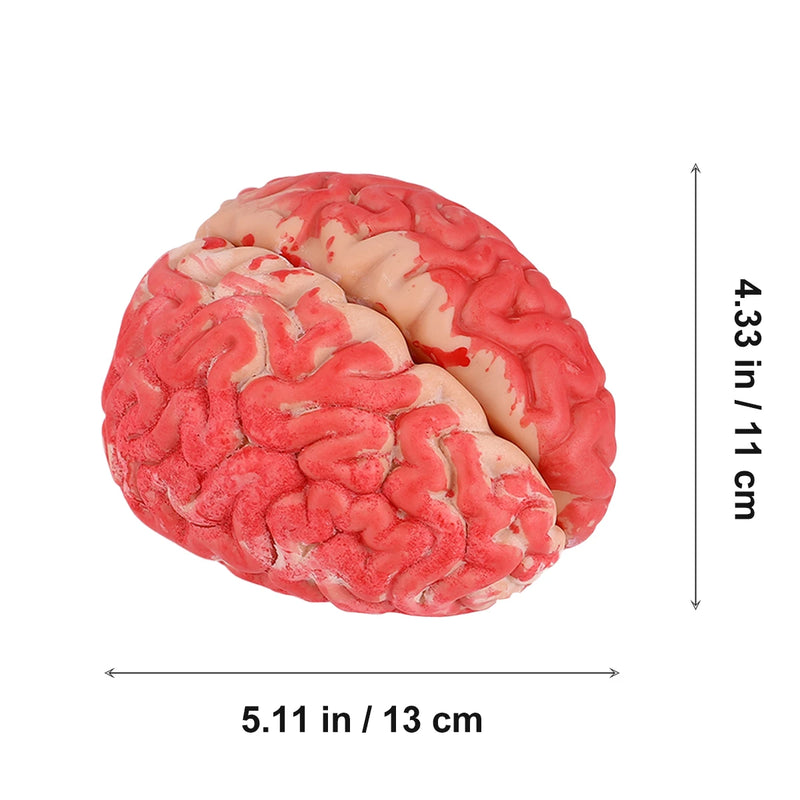 Fake Bloody Brain Prop