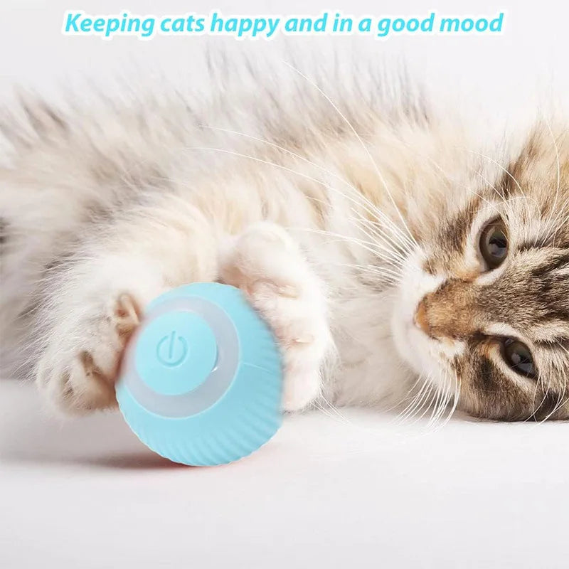 USB Rechargeable Cat Ball Toy - Blue & Pink