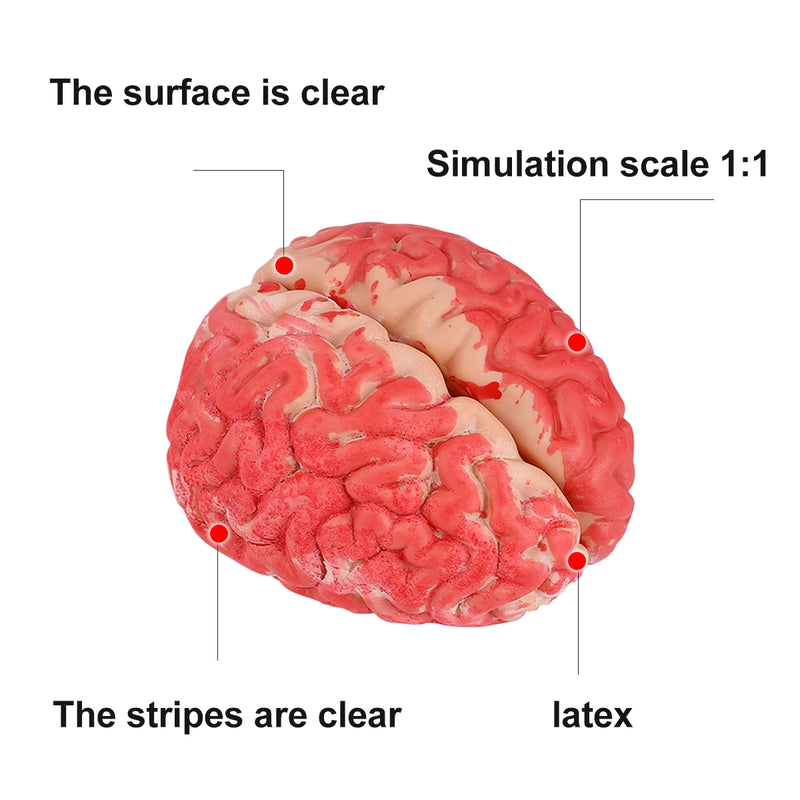 Fake Bloody Brain Prop