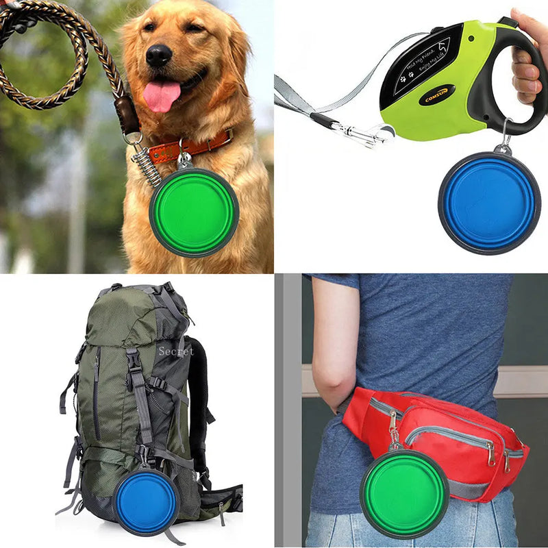 Collapsible Silicone Pet Bowl for Travel & Camping