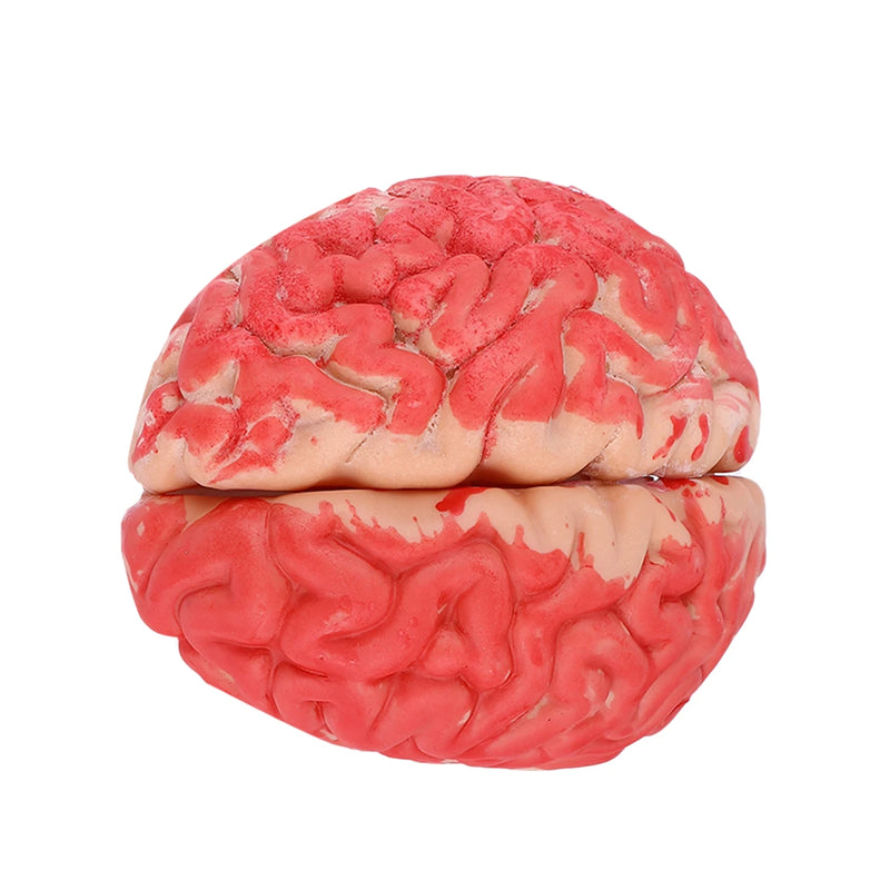 Fake Bloody Brain Prop