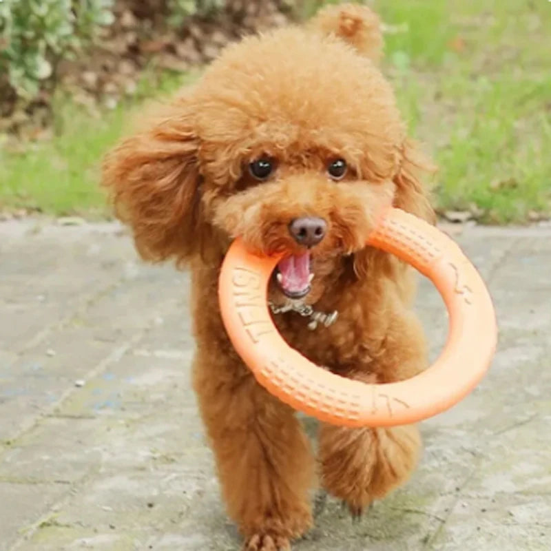 Brinquedo disco voador durável para cães - anel de treinamento EVA