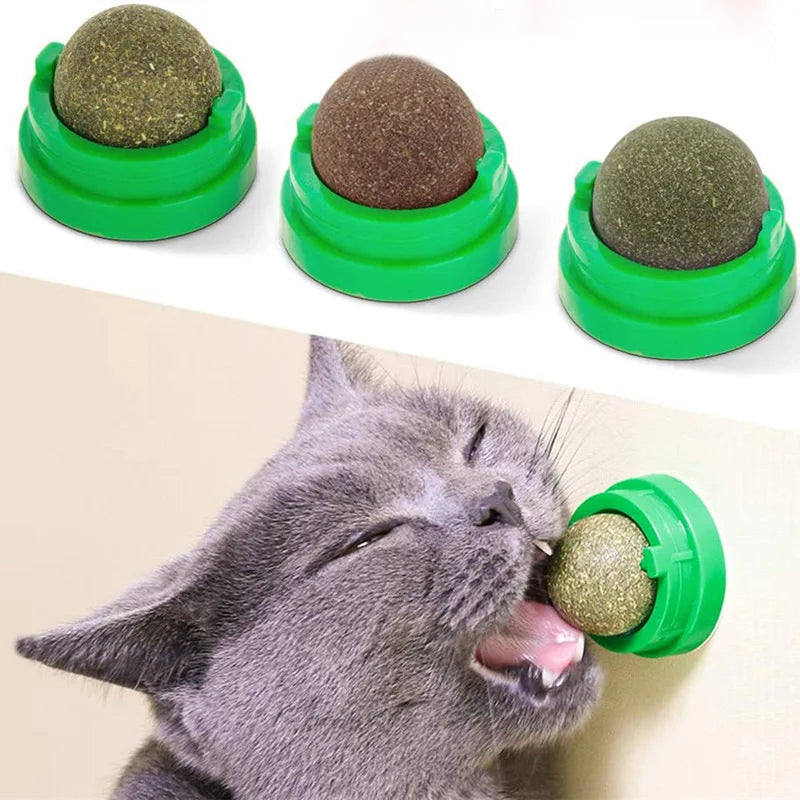 Bola de parede natural de catnip - Promove a digestão