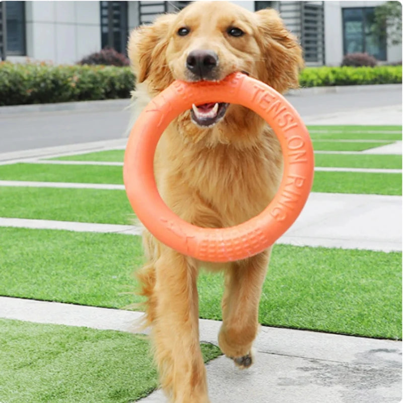 Brinquedo disco voador durável para cães - anel de treinamento EVA