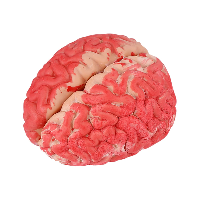 Fake Bloody Brain Prop