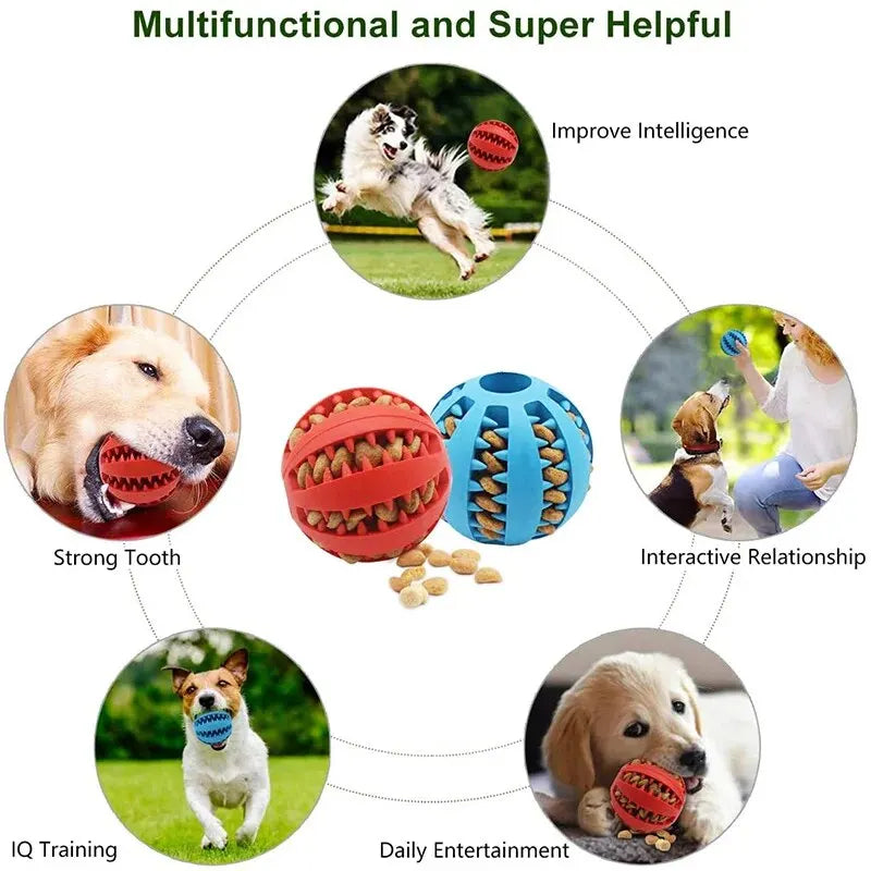 Non-Toxic Chew Ball for Dogs & Cats