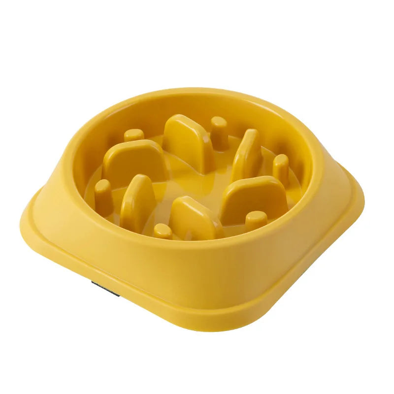 Anti-Choking Slow Feeder Bowl for Cats & Dogs