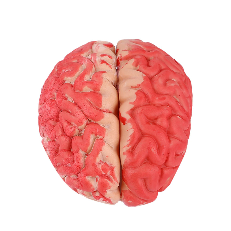 Fake Bloody Brain Prop