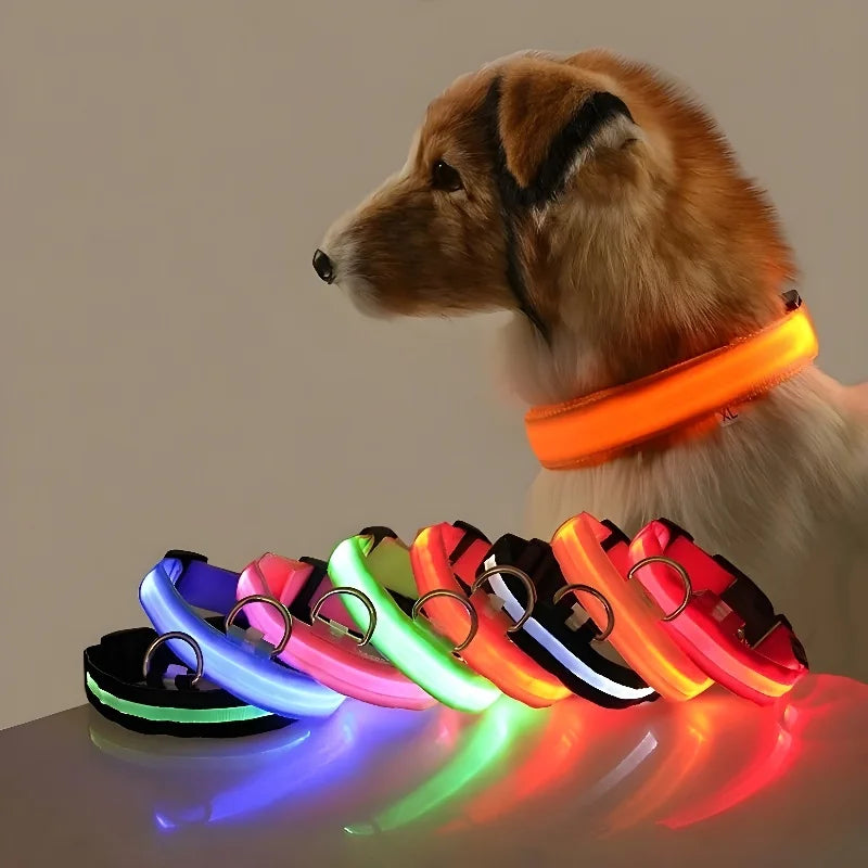 Coleira LED para cães - Segurança noturna piscante para cães