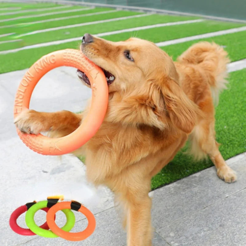 Durable Flying Disc Toy for Dogs - EVA Training Ring