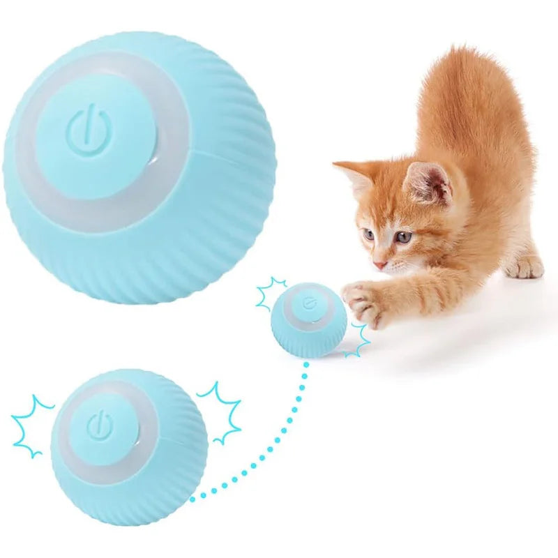 Bola de brinquedo para gato recarregável USB - Azul e rosa